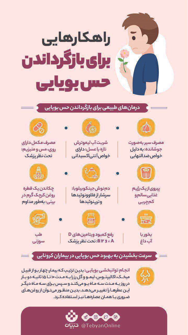 حس بویایی، راهکار بازگرداندن حس بویایی، اینفوگرافی،