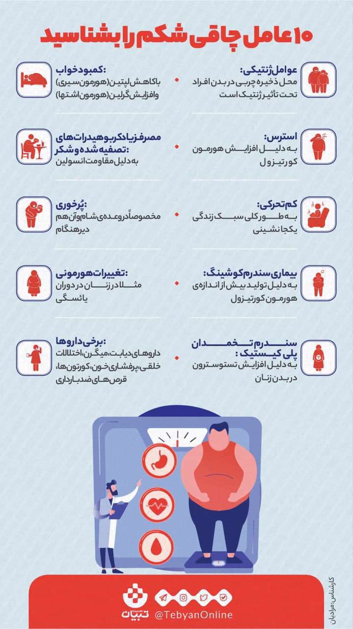 چاقی شکم - اینفوگرافیک