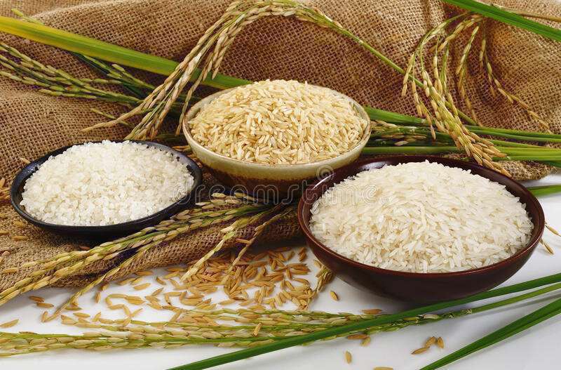 طرز تهیه آرد برنج ژاپنی
