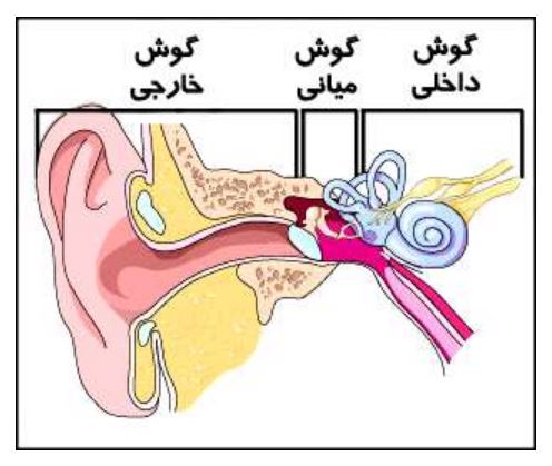 بیماری منییر ،  بیماری منیر، سرگیجه ، کم‌شنوایی،