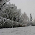 گزارش تصویری از بارش برف در تهران