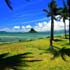 the island of hawaii 