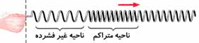 موج طولی 