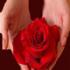آشیانه کوچک عشق