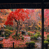 japanese fall