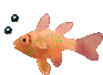 ماهی های استخوانی (1)