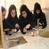تصاویری از دستاوردهای پژوهشی دبیرستان شایستگان