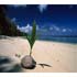 seychelles - cennetten bir köşe
