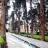 fin garden, kashan, esfahan