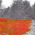 پاییزی خه‌یاڵاویی ئێران