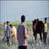 horseracing in a village in lamerd, southern iran