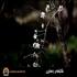  شکۆفە