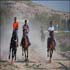 horseracing in a village in lamerd, southern iran