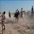 horseracing in a village in lamerd, southern iran