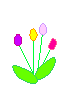 عمل خوب