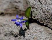 تطهیر قوه خیال(3)