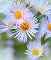 صله رحم با كسی كه رغبت ندارد