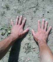 نماز بدون وضو و تیمم 