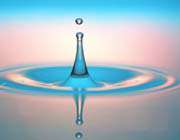 میزان جستجو 