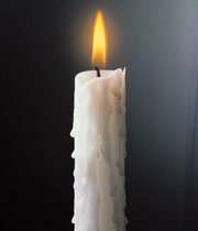 اینجا پرنده بود