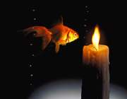 مناجات العارفین