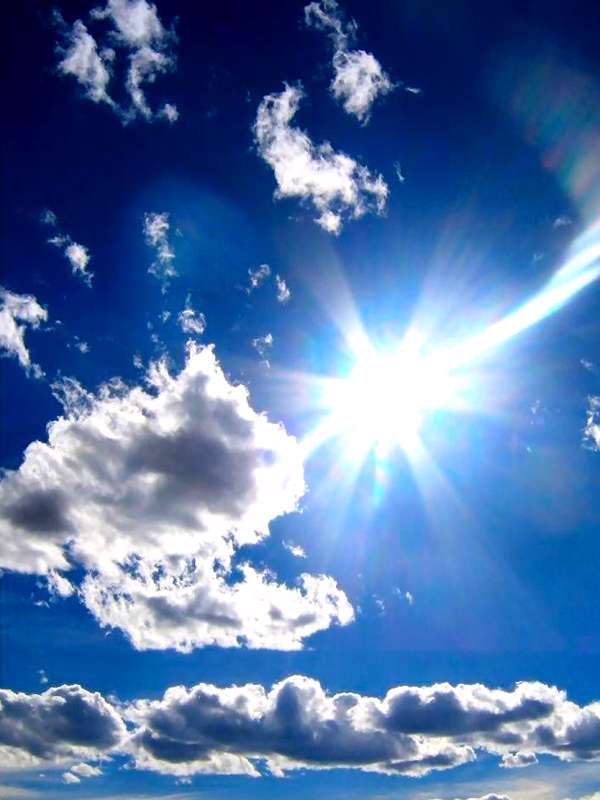 استاد كیست؟