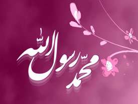 سلام بر حبیب خدا