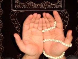 همه موجودات تسبیح می گویند