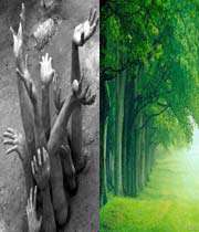 آیا دنیا جایگاه عمل است یا حساب؟