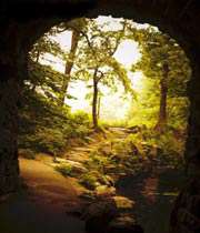 بی تار و پود