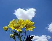 خانواده اسلامی(1)