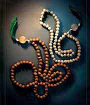 گل زار و خسته ی من