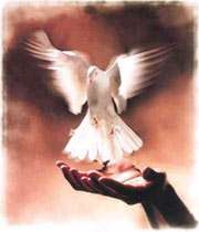 مناجات امام در مسجد کوفه