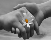 پیوند خویشاوندی