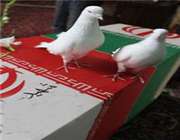 او مرد خدا بود