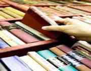 كتاب بصاير الدرجات