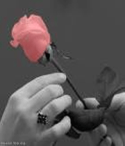 روشهای شکرگذاری؟