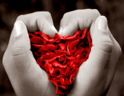 منصور و نگار(4)