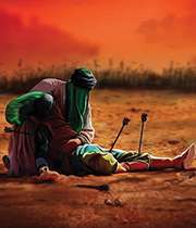 گل ورم زلفلروه شانه علی