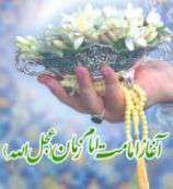 ای گل باطراوت ستاره ولایت