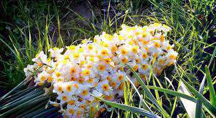 با ذوالفقار حیدر با هیبت پیغمبر