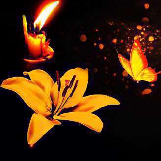 دانلود ترانه کودکانه «نان و پروانه» درباره امام علی(ع)