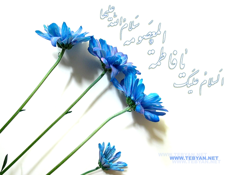 میلاد اخت الولایه مبارک