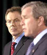 تو تروریستی! 