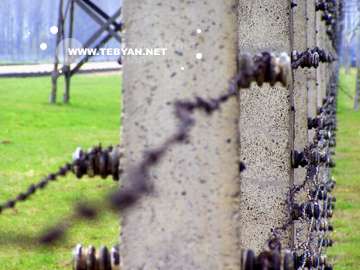 گالري عکس صنعت