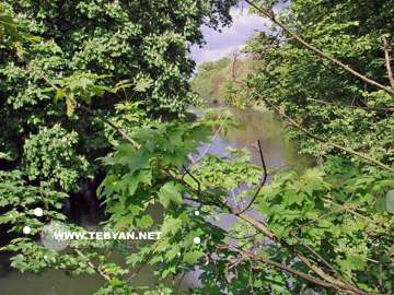 گالري عکس تابستان