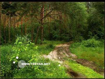 گالري عکس تابستان