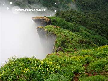 گالري عکس فصل بهار