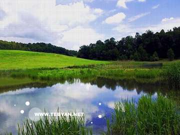 گالري عکس تابستان