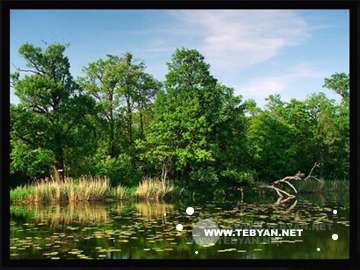 گالري عکس تابستان